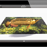 ARコンテンツ制作