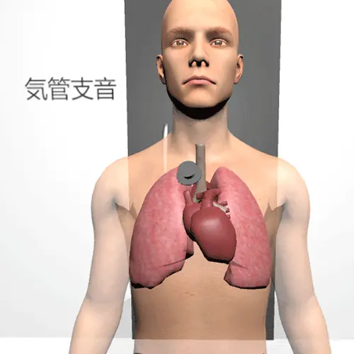 聴診音文字表示 聴診音文字表示